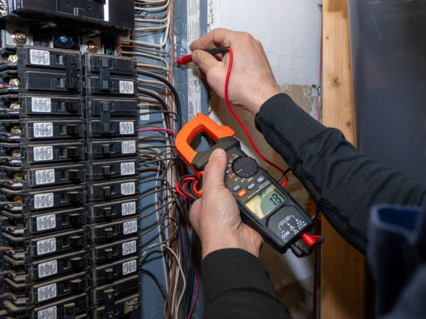 Best Licensed Electrician  in Jamul, CA