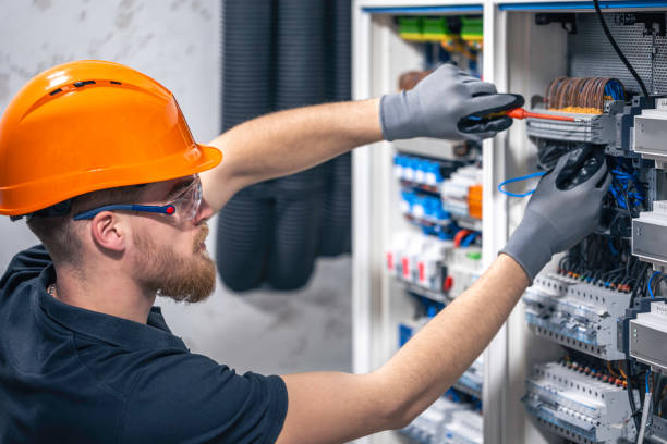 Best Affordable Electrician  in Jamul, CA